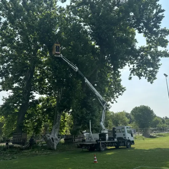 Korhadt beteg fadöntés biztonságosan