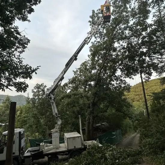 Kosaras emelő favágás